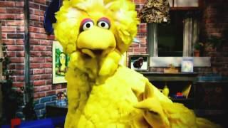 Obama Campaign Ad: Big Bird a Criminal Mastermind