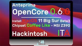 Hackintosh MacOS 11 Big Sur Beta3 Metodo Opencore 0.6.0 Anteprima - Installazione Completa ITA