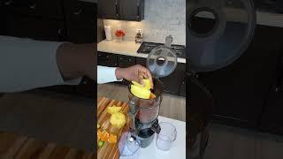 Parasite Cleanse Juice #papaya #fruit #healing #detox