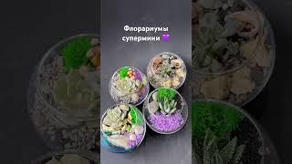 Флорариумы супермини  от 1000₽. Florarium-flo.ru #флорариум #terrarium #plants