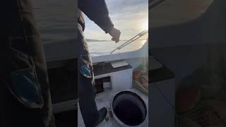 #longlinefishing #parangal #palangaro #palamito