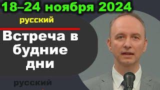 Встреча в будние дни 18–24 ноября 2024