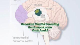 Tanam Benih Parenting | Benarkah Mindful Parenting Berdampak pada Otak Anak?