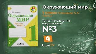 Задание 3 Что растёт на подоконнике? - Окружающий мир 1 класс (Плешаков А.А.) 1 часть