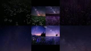 Nature's beauty  #fyp #nature #aesthetic #subscribe #ytshorts