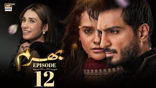 Bharam Episode 12 | Hina Tariq | Rabya Kulsoom | Omer Shahzad | 12 Dec 2024 | ARY Digital