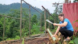Single mother designs her dream house. | Daian farm