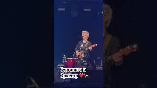 26 ноября 2024 г.