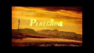 Elbit Systems of America Peregrine Video