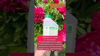 Обработала весь свой садик от болезней биопагом ️ #садиогород #дача #сад