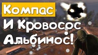 Тайны Припяти - Артефакт ''Компас'' и Кровосос ''Альбинос''