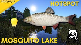 Mosquito Lake Ide Hotspot - Russian Fishing 4