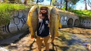 I Discovered GIANT FISH In Melbourne's Hidden URBAN DRAINAGE SYSTEM