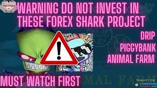 6 reasons to not invest in Forex Shark projects like Drip Faucet Animal farm or Piggy bank