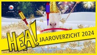 Alle hoogtepunten van 2024 | HEA! JAAROVERZICHT