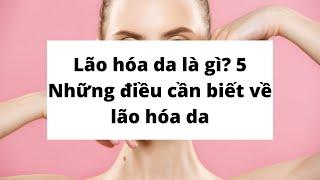 Lão hóa da là gì? 5 Những điều cần biết về lão hóa da