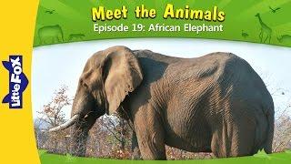 Meet the Animals 19 | African Elephant | Wild Animals | Little Fox | Animated Stories for Kids