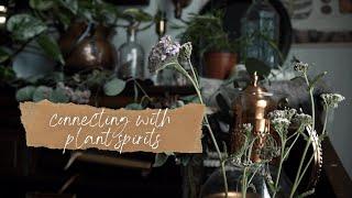 How to Connect with Plant Spirits | Beginner Witchcraft