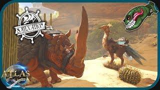 Atlas | Ship of the Damned Battle, Rhino and Ostrich Taming #8 (Atlas Sailvation Gameplay)