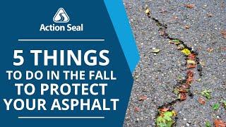 5 Steps for DIY Asphalt Maintenance before winter ruins your asphalt in Canada! Driveway Repair DIY