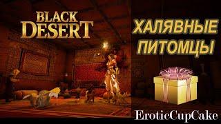 Black Desert Как получить питомца бесплатно в БДО?