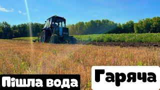 ОРАНКАпішов процес,плуг велес агро 2+1,справляється на 100%