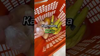 Сколько стоит еда в Мексике? Узнайте шокирующую правду!