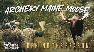 56" Bull Called to 12 Yards | Archery Maine Moose