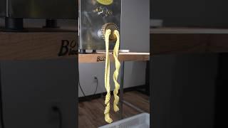 Long Noodle