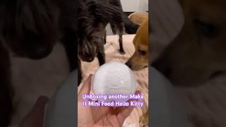 Pups watch unboxing of Make it Mini Food Hello Kitty blind box #dog #hellokitty #unboxing #cute