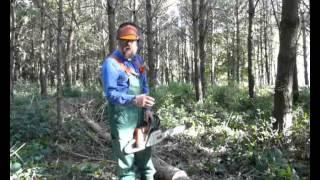 How to cross cut timber using the boring technique to prevent trapping your chainsaw.