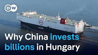 Behind China's massive bet on Hungary | DW News