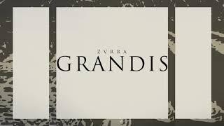 Zvrra - Grandis