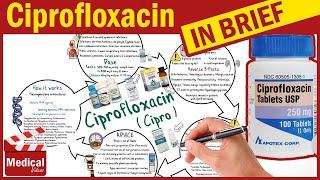 Ciprofloxacin ( Cipro ): What is Ciprofloxacin Used For, Dosage, Side Effects & Precautions?