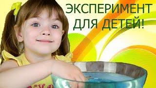 Эксперименты для детей  Плавающая скрепка!