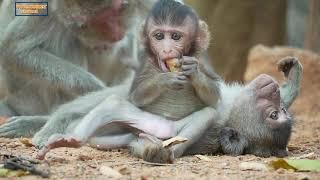 Handsome baby Vano trying sit playing with brother