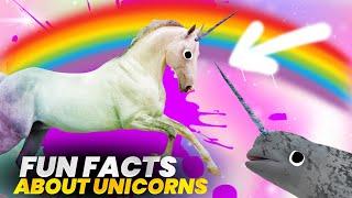 20 Fun Facts About Unicorns