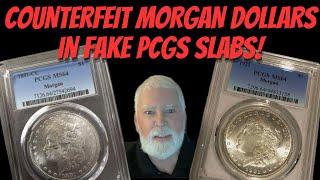 NOT PCGS "MORGAN" MORGANS: COUNTERFEIT MORGAN DOLLARS w/SPECIAL GUEST JACK YOUNG #livecoinqa #coins