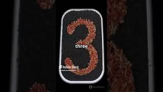 Top Five Islamic Nationa #shorts #viralshorts