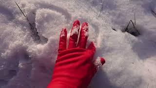 Rubber Gloves Hand Digging Snow Tunel