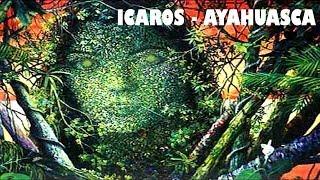 ICAROS CHAMANICOS - Ayahuasca, Cantos for travel in Ayahuasca ceremonies, アヤフアスカ