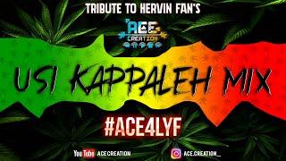 [ACE CREATION] Usi Kappaleh Mix | Hervin Hits •