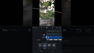 Make 3 layer blended videos in VN app I mobile photography | Dude | #iphone #viral #share #vn #song