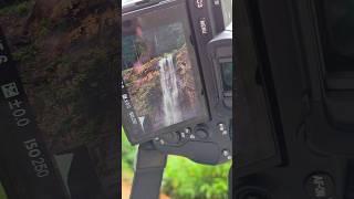 Sony FE 200-600mm Lens#waterfall#zoom#sony#photography#jungle#portrait#nature