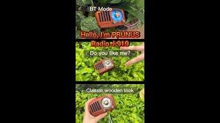 I'm PRUNUS J-919 FM Radio with Bluetooth Speaker, Come on and Walk into the Nature with Me!