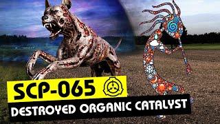 SCP-065 | Destroyed Organic Catalyst (SCP Orientation)