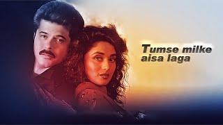 Tumse milke aisa laga  Lyrics (English Translation)