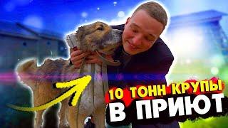 EDWARD BIL / КУПИЛ 10 ТОНН КРУПЫ / ОТВЁЗ В ПРИЮТ ДЛЯ ЖИВОТНЫХ