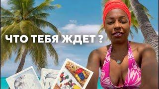 ЧТО ТЕБЯ ЖДЕТ ДАЛЬШЕ? Расклад таро. Тестирую новую колоду!