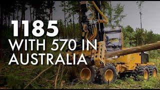 Tigercat 1185 wheeled harvester & 570 harvesting head demo in Tumbarumba, Australia